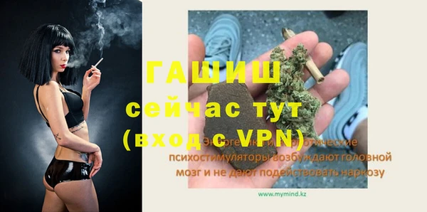 мдпв Богородск