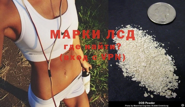 стаф Богданович