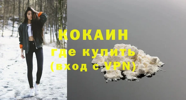 мдпв Богородск