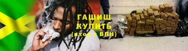 мдпв Богородск