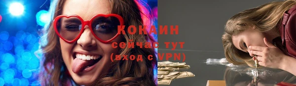 мдпв Богородск
