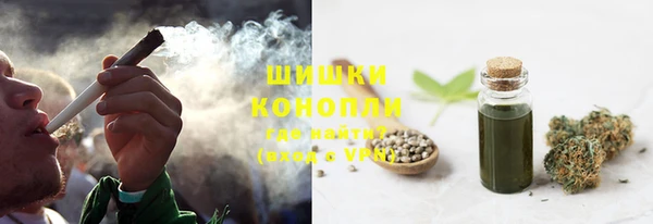 стаф Богданович