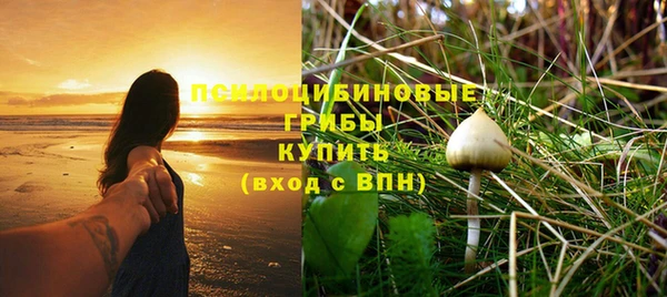 дживик Усолье-Сибирское