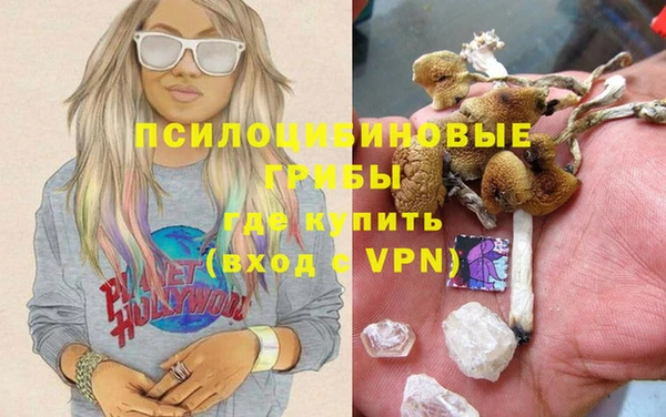 дживик Усолье-Сибирское