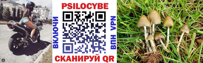 Псилоцибиновые грибы прущие грибы  Клинцы 